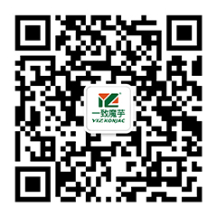 未標(biāo)題-1.jpg